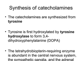 Synthesis of catecholamines
• The catecholamines are synthesized from
tyrosine
• Tyrosine is first hydroxylated by tyrosine
hydroxylase to form 3,4-
dihydroxyphenylalanine (DOPA)
• The tetrahydrobiopterin-requiring enzyme
is abundant in the central nervous system,
the sympathetic ganglia, and the adrenal
 