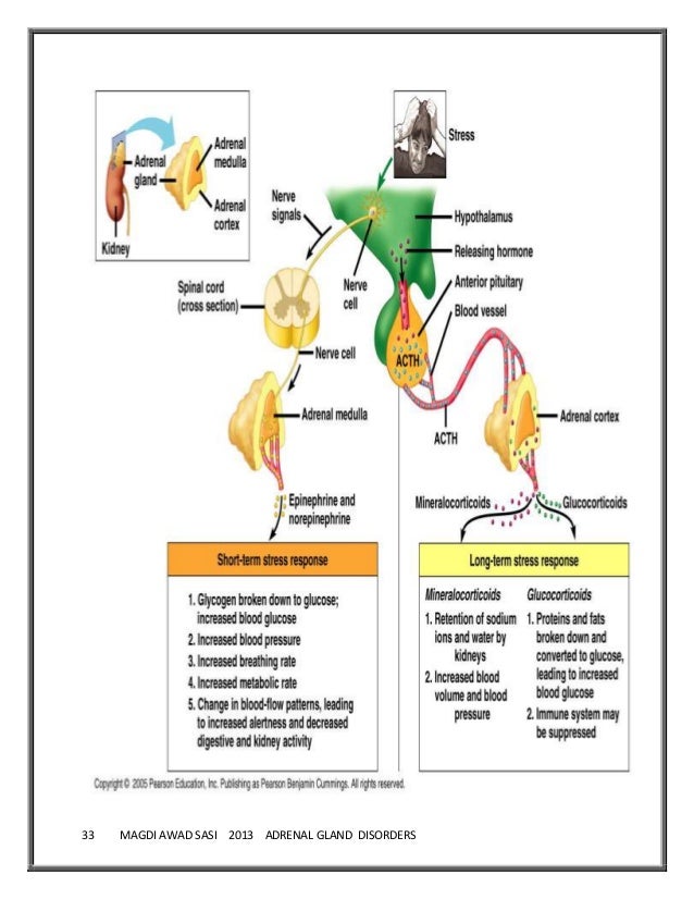 disorders of adrenal gland disorders of adrenal gland