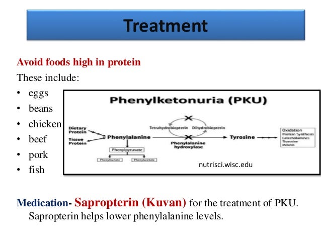 AMINO ACID METABOLISM DISORDER PDF DOWNLOAD AMINO ACID METABOLISM DISORDER PDF DOWNLOAD