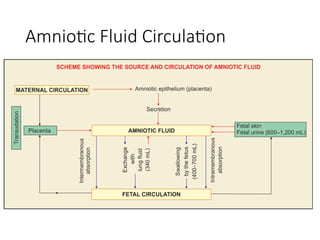 Disorders of amniotic fluid in Gynaecology pptx | PPTX