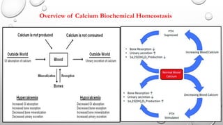 Disorders of Calcium and Phosphate Metabolism.ppt