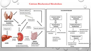 Disorders of Calcium and Phosphate Metabolism.ppt