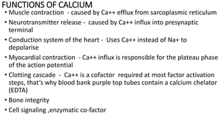 FUNCTIONS OF CALCIUM
• Muscle contraction - caused by Ca++ efflux from sarcoplasmic reticulum
• Neurotransmitter release -...