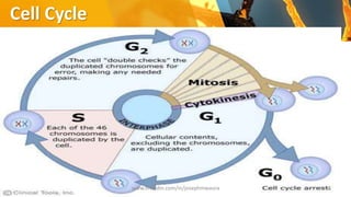 Disorders of cell growth - Dr Mwaura | PPTX