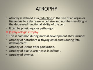 Disorders of cell growth and differentiation | PPTX