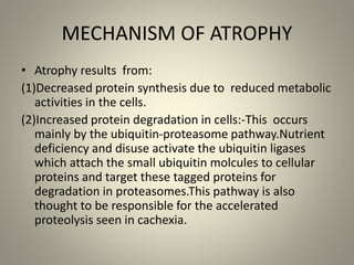 Disorders of cell growth and differentiation | PPTX