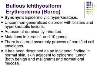 Bullous Process Ichthyoses and Ichthyosiform disorders | PPT
