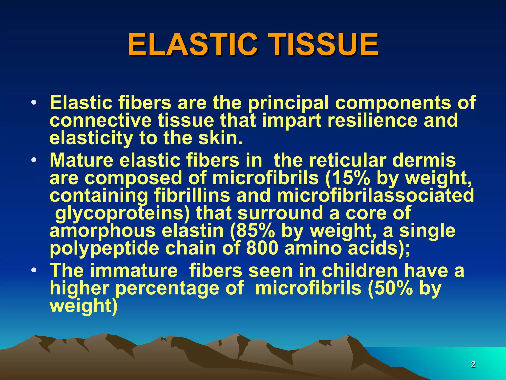 ELASTIC TISSUE Elastic fibers are the principal components of connective tissue that impart resilience and elasticity to the skin.  Mature elastic fibers in  the reticular dermis are composed of microfibrils (15% by weight, containing fibrillins and microfibrilassociated  glycoproteins) that surround a core of amorphous elastin (85% by weight, a single polypeptide chain of 800 amino acids);  The immature  fibers seen in children have a higher percentage of  microfibrils (50% by weight)  