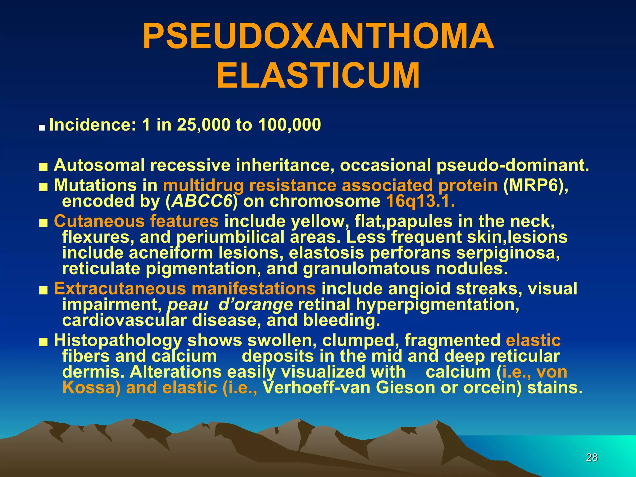 PSEUDOXANTHOMA ELASTICUM ■  Incidence: 1 in 25,000 to 100,000 ■  Autosomal recessive inheritance, occasional pseudo-dominant. ■  Mutations in  multidrug resistance associated protein  (MRP6), encoded by ( ABCC6 ) on chromosome  16q13.1. ■  Cutaneous features  include yellow, flat,papules in the neck, flexures, and periumbilical areas. Less frequent skin,lesions include acneiform lesions, elastosis perforans serpiginosa, reticulate pigmentation, and granulomatous nodules. ■  Extracutaneous manifestations  include angioid streaks, visual impairment,  peau  d’orange  retinal hyperpigmentation, cardiovascular disease, and bleeding. ■  Histopathology shows swollen, clumped, fragmented  elastic  fibers and calcium  deposits in the mid and deep reticular  dermis. Alterations easily visualized with  calcium ( i.e., von Kossa) and elastic (i.e.,  Verhoeff-van Gieson or orcein) stains. 