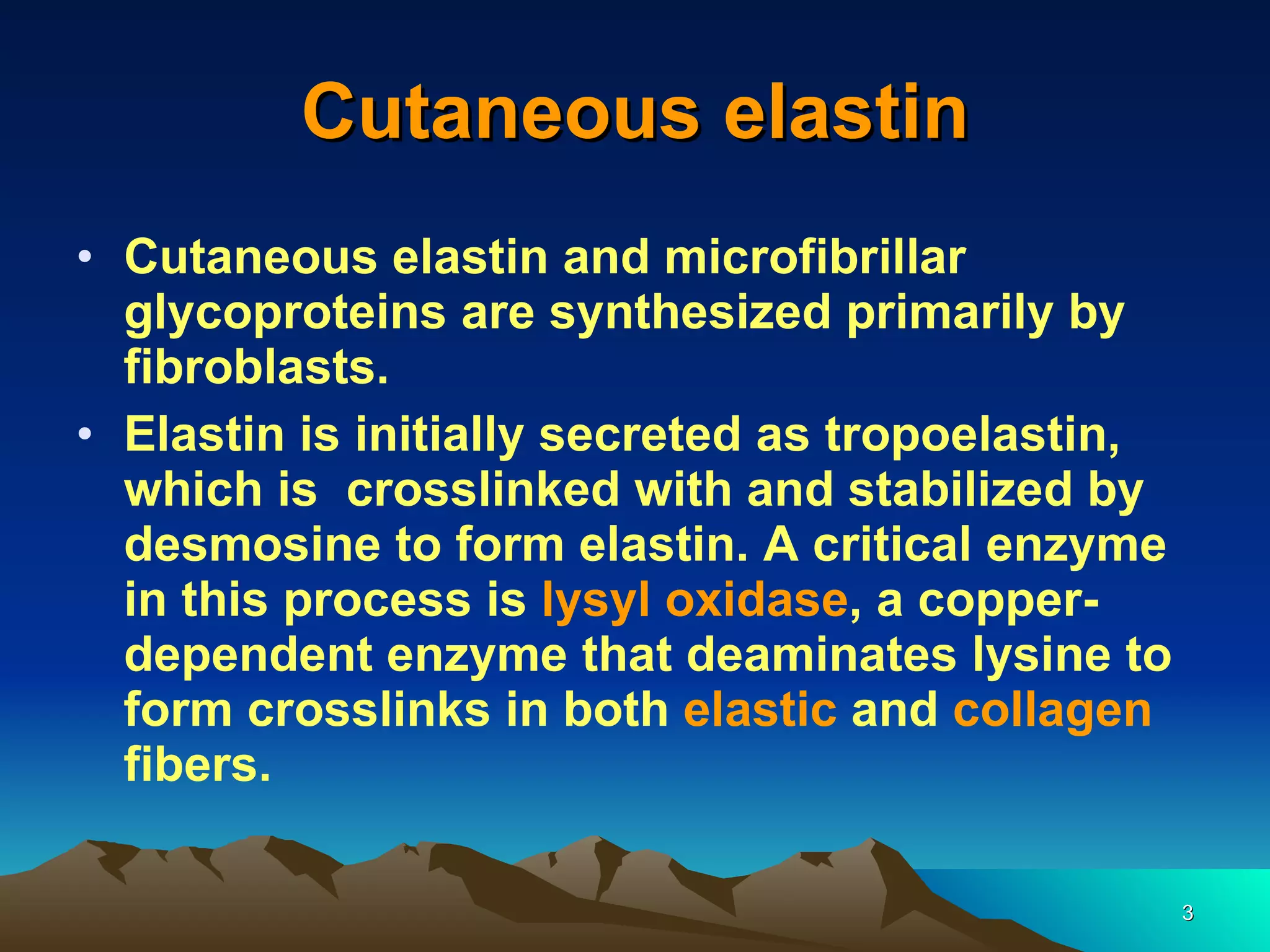 Cutaneous elastin Cutaneous elastin and microfibrillar glycoproteins are synthesized primarily by fibroblasts. Elastin is initially secreted as tropoelastin, which is  crosslinked with and stabilized by desmosine to form elastin. A critical enzyme in this process is  lysyl oxidase , a copper-dependent enzyme that deaminates lysine to form crosslinks in both  elastic  and  collagen  fibers.  
