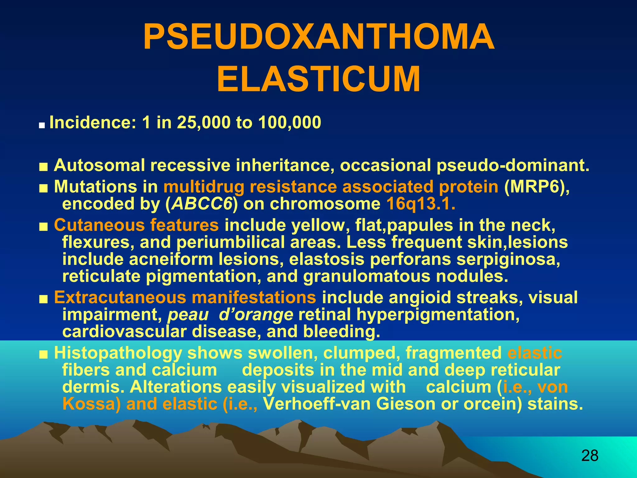 28 
PSEUDOXANTHOMA 
ELASTICUM 
■ Incidence: 1 in 25,000 to 100,000 
■ Autosomal recessive inheritance, occasional pseudo-dominant. 
■ Mutations in multidrug resistance associated protein (MRP6), 
encoded by (ABCC6) on chromosome 16q13.1. 
■ Cutaneous features include yellow, flat,papules in the neck, 
flexures, and periumbilical areas. Less frequent skin,lesions 
include acneiform lesions, elastosis perforans serpiginosa, 
reticulate pigmentation, and granulomatous nodules. 
■ Extracutaneous manifestations include angioid streaks, visual 
impairment, peau d’orange retinal hyperpigmentation, 
cardiovascular disease, and bleeding. 
■ Histopathology shows swollen, clumped, fragmented elastic 
fibers and calcium deposits in the mid and deep reticular 
dermis. Alterations easily visualized with calcium (i.e., von 
Kossa) and elastic (i.e., Verhoeff-van Gieson or orcein) stains. 
 