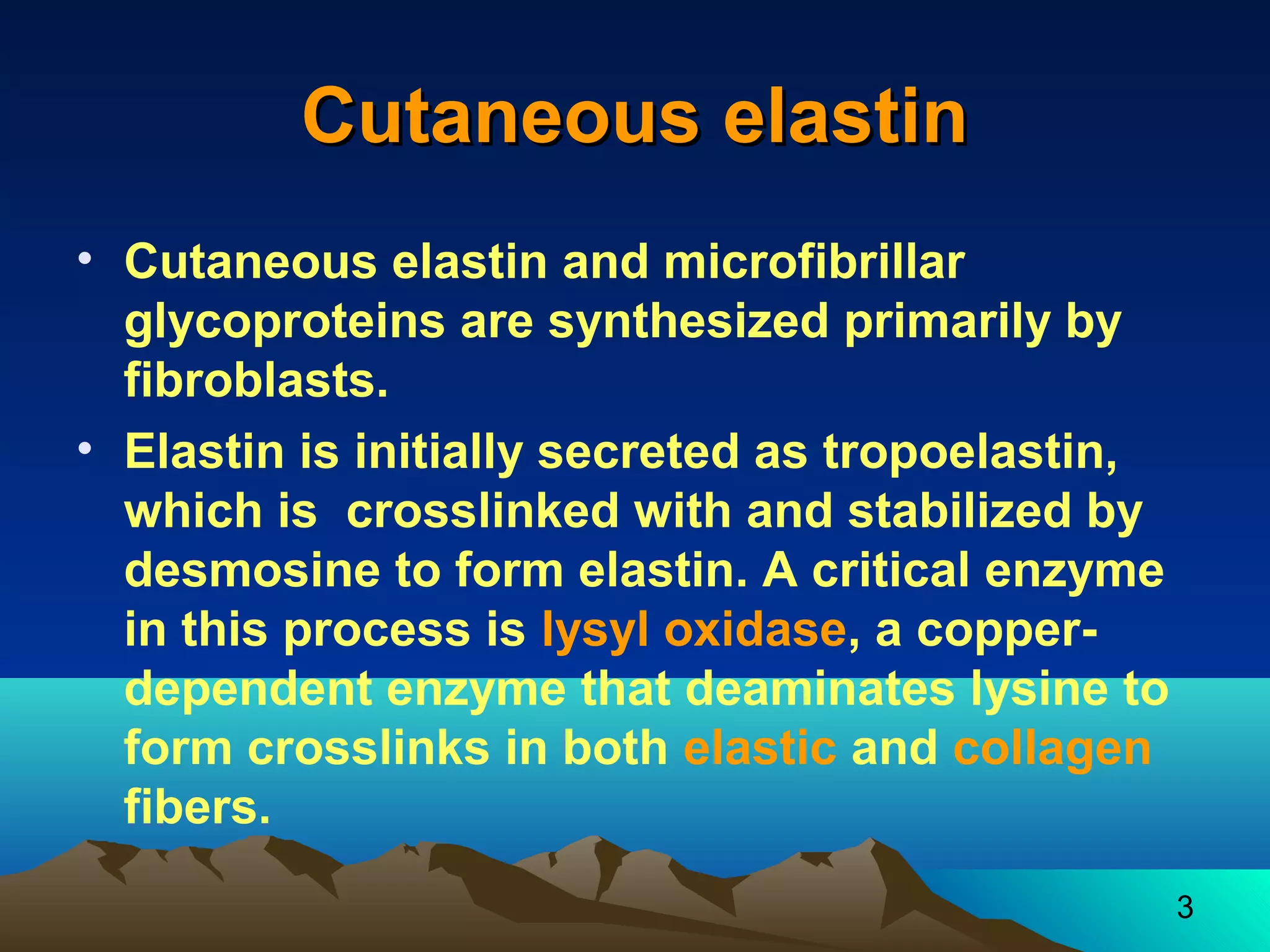 3 
CCuuttaanneeoouuss eellaassttiinn 
• Cutaneous elastin and microfibrillar 
glycoproteins are synthesized primarily by 
fibroblasts. 
• Elastin is initially secreted as tropoelastin, 
which is crosslinked with and stabilized by 
desmosine to form elastin. A critical enzyme 
in this process is lysyl oxidase, a copper-dependent 
enzyme that deaminates lysine to 
form crosslinks in both elastic and collagen 
fibers. 
 