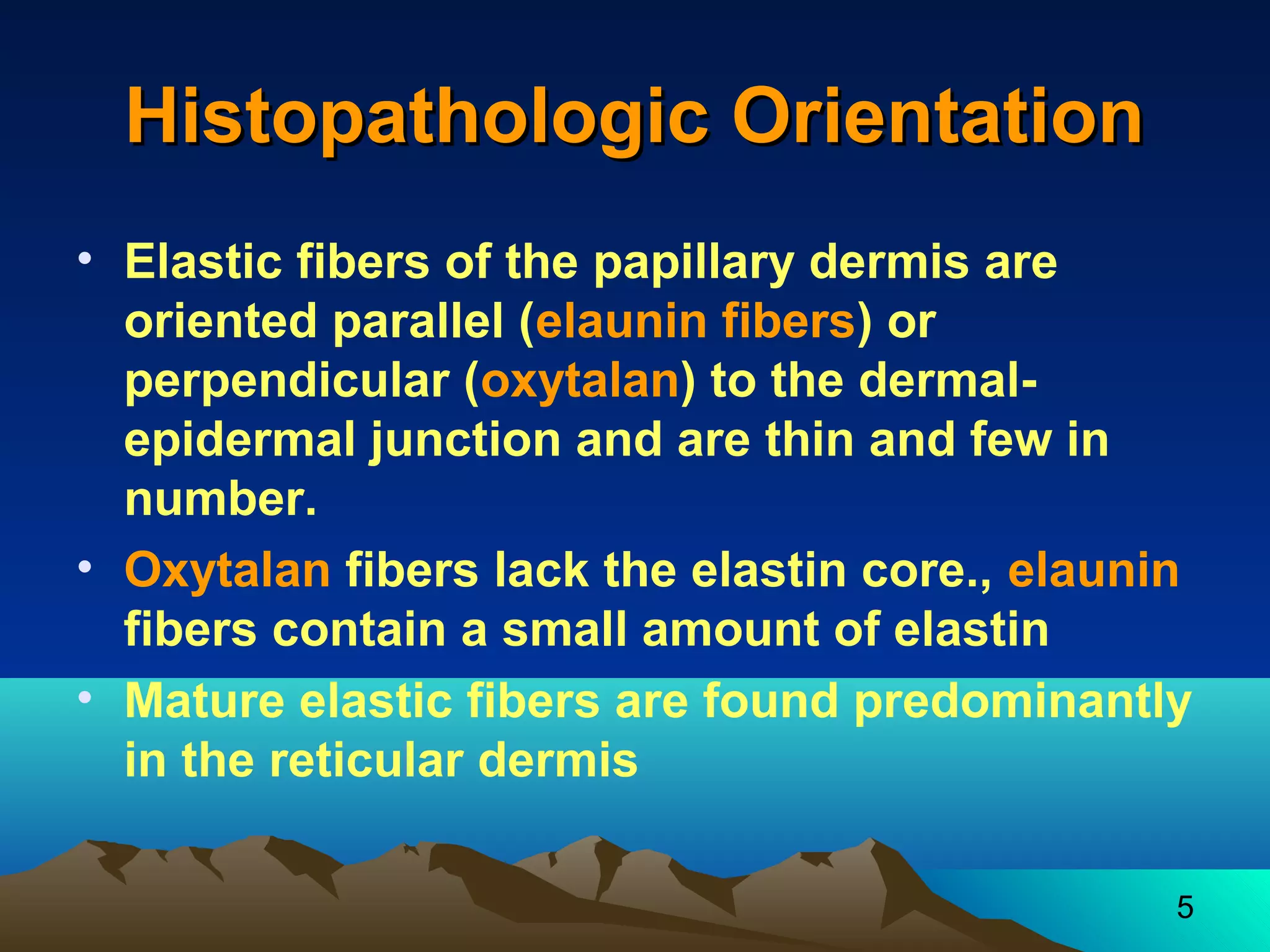 5 
HHiissttooppaatthhoollooggiicc OOrriieennttaattiioonn 
• Elastic fibers of the papillary dermis are 
oriented parallel (elaunin fibers) or 
perpendicular (oxytalan) to the dermal-epidermal 
junction and are thin and few in 
number. 
• Oxytalan fibers lack the elastin core., elaunin 
fibers contain a small amount of elastin 
• Mature elastic fibers are found predominantly 
in the reticular dermis 
 