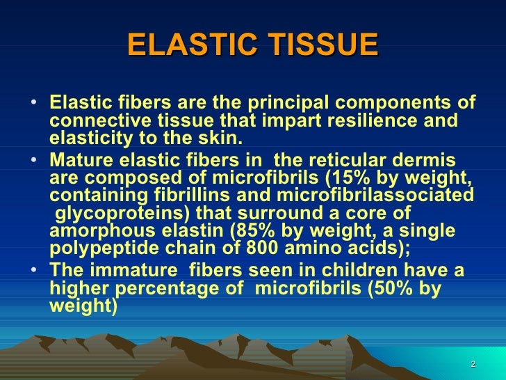 Disorders Of Elastic Tissue