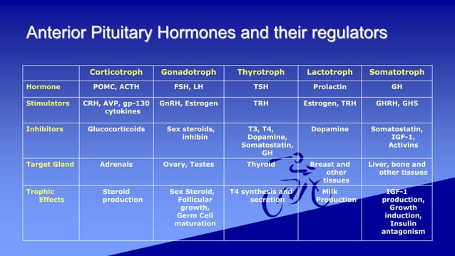 Disorders of endocrine system - Pituitary gland | PPT