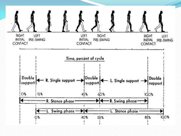 disorders of gait and station gait and station