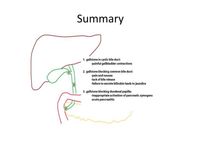 Disorders of gall bladder | PPTX