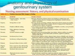 anatomy and physiology of
genitourinary system
Nursing assessment: history, and physicalexamination

 