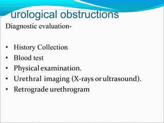 urological obstructions
Diagnostic evaluation-
• History Collection
• Blood test
• Physicalexamination.
• Urethral imaging (X-rays orultrasound).
• Retrograde urethrogram
 