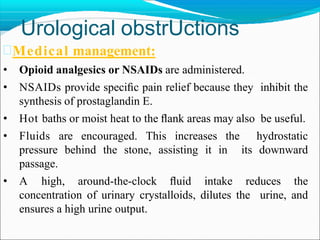 Urological obstrUctions
Medical management:
• Opioid analgesics or NSAIDs are administered.
• NSAIDs provide speciﬁc pain relief because they inhibit the
synthesis of prostaglandin E.
• Hot baths or moist heat to the ﬂank areas may also be useful.
• Fluids are encouraged. This increases the hydrostatic
pressure behind the stone, assisting it in its downward
passage.
• A high, around-the-clock ﬂuid intake reduces the
concentration of urinary crystalloids, dilutes the urine, and
ensures a high urine output.
 