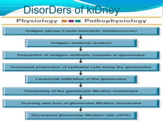 DisorDers of kiDney
 