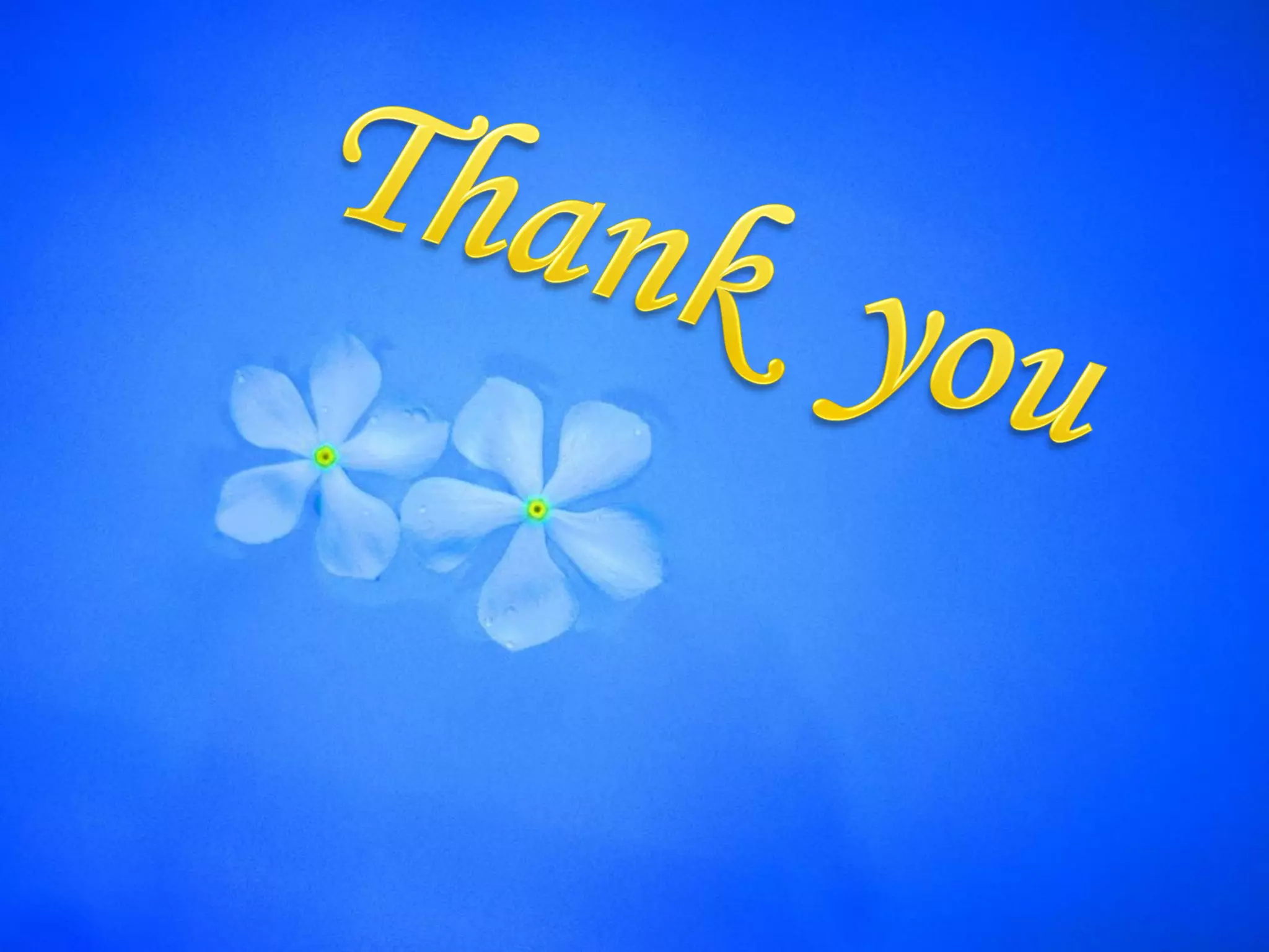 Disorders of growth. General Pathology