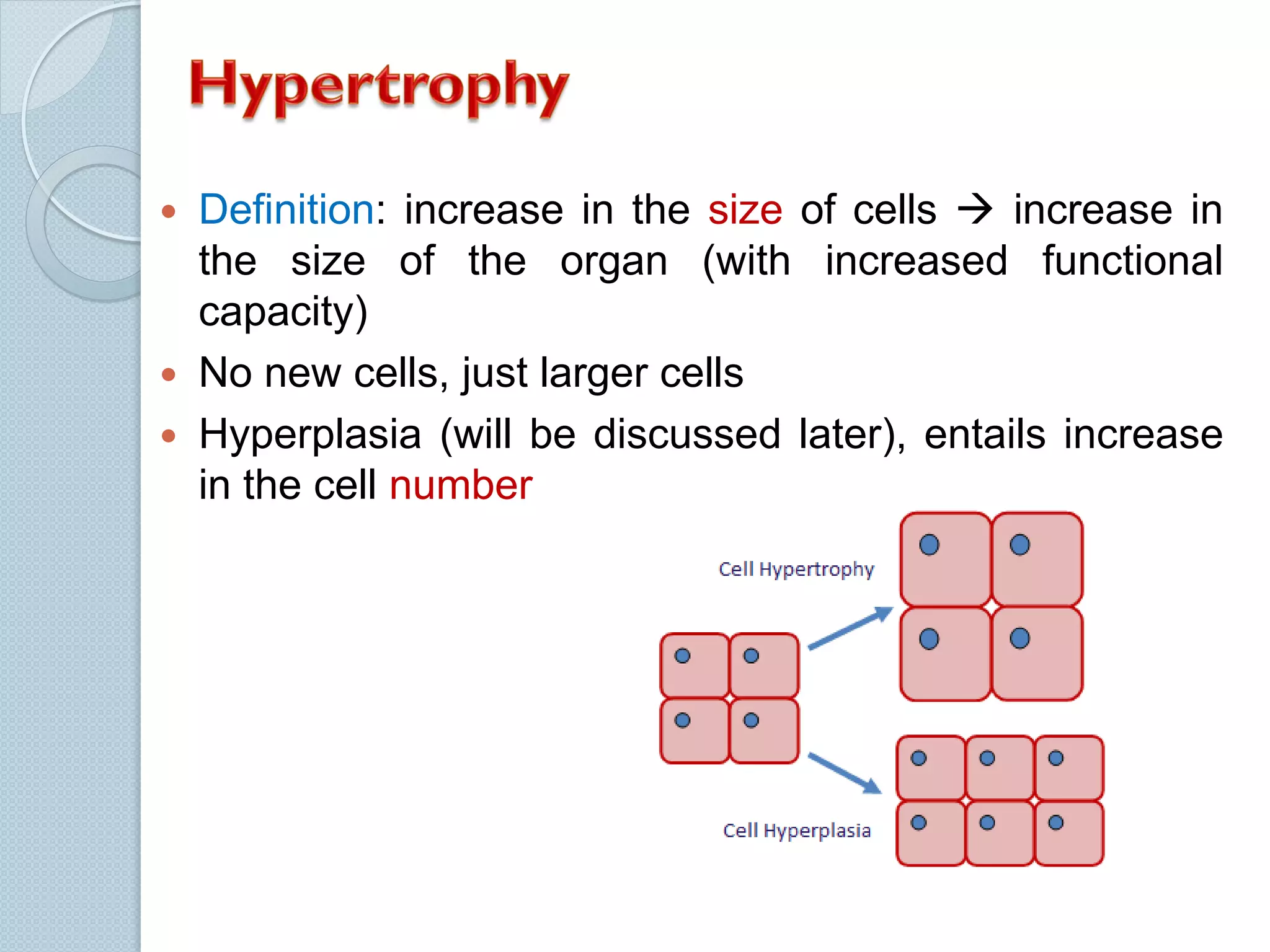 Definition: increase in the size of cells  increase in
the size of the organ (with increased functional
capacity)
 No new cells, just larger cells
 Hyperplasia (will be discussed later), entails increase
in the cell number


 