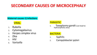 SECONDARY CAUSES OF MICROCEPHALY
Maternal causes-1) Infections
VIRAL
1. Rubella
2. Cytomegalovirus
3. Herpes simplex virus
4. Zika
5. HIV
6. Varicella
PARASITIC
1. Toxoplasma gondii (can lead to
hydrocephalus also)
BACTERIA
1. Syphilis
2. Campylobacter pylori
 