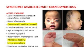 SYNDROMES ASSOCIATED WITH CRANIOSYNOSTOSIS
APERTS SYNDROME
• Autosomal dominant ,Fibroblast
growth factor gene defect
• Bicoronal synostosis
• Crouzon's with hand involvement!
• Complex syndactyly (Mitten hand)
• High arched palate, cleft palate
• Maxillary hypoplasia
• Hypertelorism, Antimongoloid slant
• Intellectual disability
• Severe acne vulgaris
• Strabismus, conductive hearing loss
 