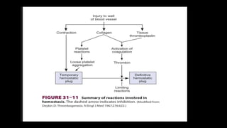 DISORDERS OF HEMOSTASIS , extrinsic and intrinsic pathway | PDF