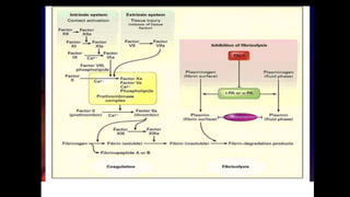 DISORDERS OF HEMOSTASIS , extrinsic and intrinsic pathway | PDF