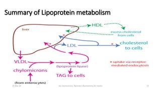 Disorders of lipid metabolism 2 | PDF