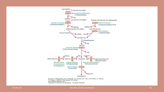 Disorders of lipid metabolism case studies-1 | PDF