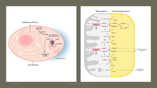 Disorders of lipid metabolism case studies-1 | PDF