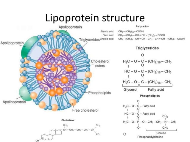 Disorders of lipoprotein metabolism | PPTX | Endocrine and Metabolic ...