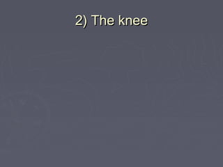 2) The knee2) The knee
 