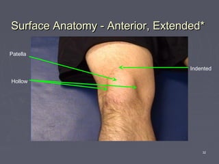 32
Surface Anatomy - Anterior, Extended*Surface Anatomy - Anterior, Extended*
Patella
Hollow
Indented
 