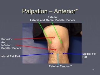35
Palpation – Anterior*Palpation – Anterior*
Patella:
Lateral and Medial Patellar Facets
Superior
And
Inferior
Patellar Facets
Patellar Tendon**
Lateral Fat Pad
Medial Fat
Pat
 