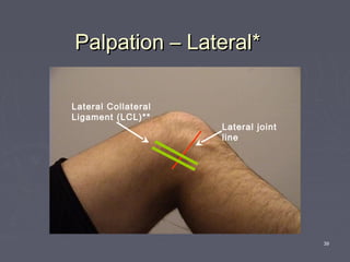 39
Palpation – Lateral*Palpation – Lateral*
Lateral joint
line
Lateral Collateral
Ligament (LCL)**
 