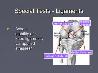 43
Special Tests - LigamentsSpecial Tests - Ligaments
► AssessAssess
stability of 4stability of 4
knee ligamentsknee ligaments
via appliedvia applied
stresses*stresses*
Anterior Cruciate
Posterior
Cruciate
Lateral Collateral
Medial Collateral
 