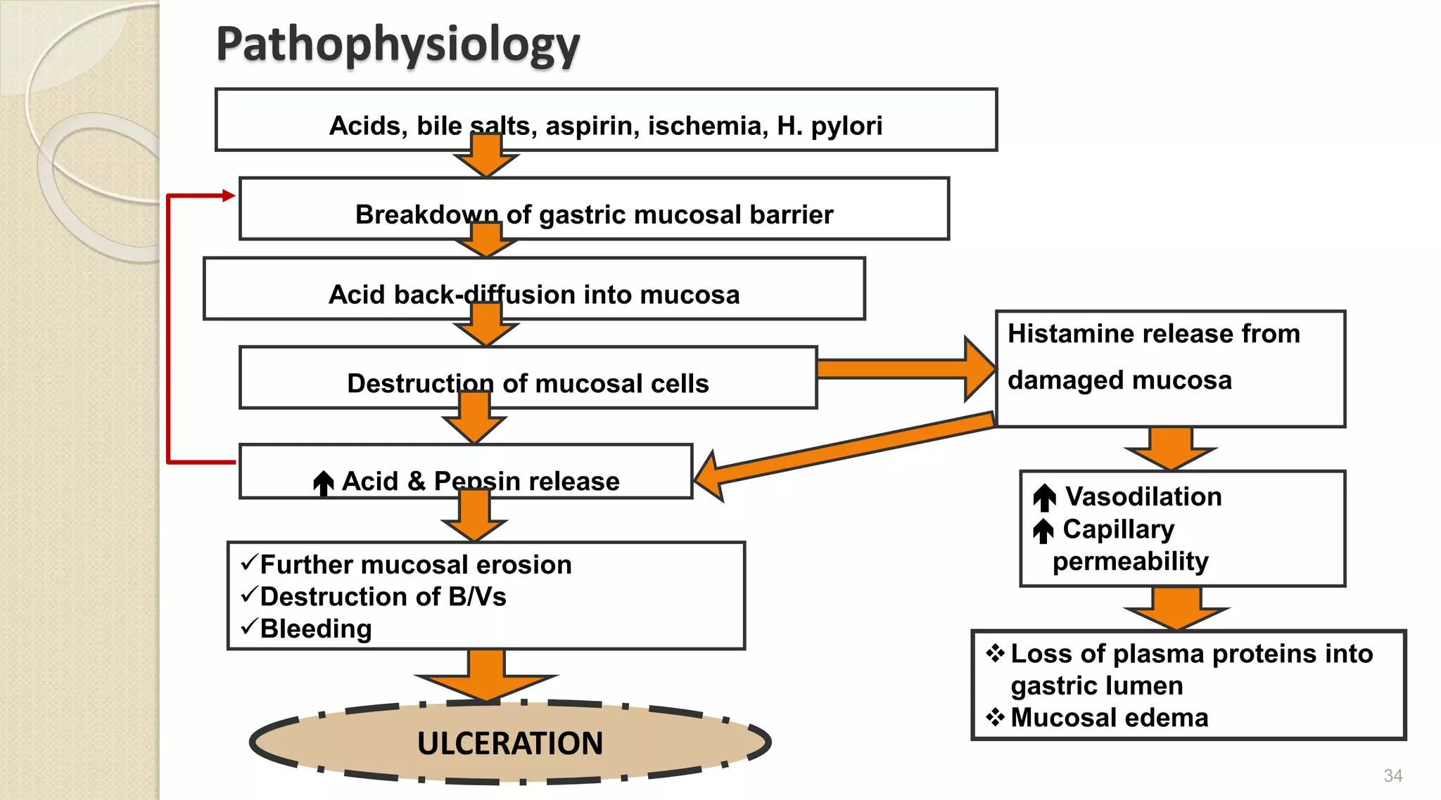 Pathophysiology
34
Acids, bile salts, aspirin, ischemia, H. pylori
Breakdown of gastric mucosal barrier
Acid back-diffusion into mucosa
Destruction of mucosal cells
 Acid & Pepsin release
Further mucosal erosion
Destruction of B/Vs
Bleeding
Histamine release from
damaged mucosa
 Vasodilation
 Capillary
permeability
Loss of plasma proteins into
gastric lumen
Mucosal edema
ULCERATION
 
