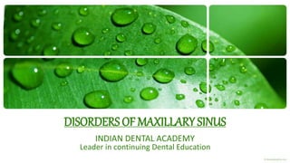 DISORDERS OF MAXILLARY SINUS
INDIAN DENTAL ACADEMY
Leader in continuing Dental Education
 