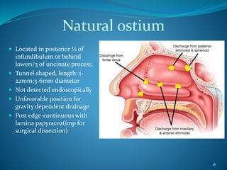 Disorders of Maxillary Sinus | PPT