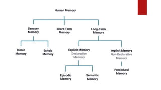 disorders of memory .pptx disorder of memory | PPTX