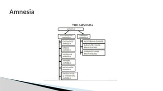 Amnesia
 