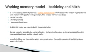  In 1974 Baddeley and Hitch proposed a working memory model which replaced the concept of general short
term memory with specific, working memory. This consists of three basic stores
1. central executive
2. phonological loop
3. visuo-spatial sketchpad.
 In 2000 this model was expanded with the episodic buffer.
 Central executive located in the prefrontal cortex . It channels information to : the phonological loop, the
visuo-spatial sketchpad, and the episodic buffer.
 phonological loop and visuospatial system are rehersal system for retaining visual and spatial & language
aspects of stimulus .
Working memory model – baddeley and hitch
 