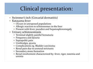 Clinical presentation:
 Swimmer’s itch (Cercarial dermatitis)
 Katayama fever
 Occurs in unexposed populations
 Allergic reaction to schistosomes in the liver
 Present with fever, jaundice and hepatosplenomegaly
 Urinary schistosomiasis
 Terminal slightly painful hematuria
 Frequency and dysuria
 Suprapubic pain
 Urethralgia, pyuria
 Complications eg. Bladder carcinoma
 Renal pain due to ureteral strictures
 Secondary stone formation
 Renal involvement characterized by: fever, rigor, toxemia and
uremia
 