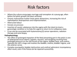 Risk factors
• Where the culture encourages marriage and conception at a young age, often
before full pelvic growth has been achieved.
• Chronic malnutrition further limits pelvic dimensions, increasing the risk of
cephalopelvic disproportion and malpresentation.
• Obstructed labour
• Female circumcision
• Insertion of caustic substances into the vagina with the intent to treat a
gynecologic condition or to help the vagina to return to its nulliparous state.
• It can also be associated with hysterectomy,[3] cancer operations, radiation
therapy and cone biopsy.
Pathophysiology
• The effect of prolonged impaction of the fetal presenting part in the pelvis is one
of widespread tissue edema, hypoxia, necrosis, and sloughing resulting from
prolonged pressure on the soft tissues of the vagina, bladder base, and urethra.
Typically the UGF is large and involves the bladder, urethra, bladder trigone, and
the anterior cervix.
• Complex neuropathic bladder dysfunction and urethral sphincteric incompetency
often result, even if the fistula can be repaired successfully.
 