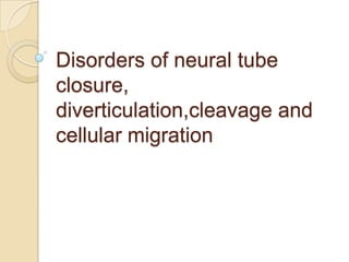 Disorders of neural tube
closure,
diverticulation,cleavage and
cellular migration
 