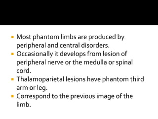    Most phantom limbs are produced by
    peripheral and central disorders.
   Occasionally it develops from lesion of
    peripheral nerve or the medulla or spinal
    cord.
   Thalamoparietal lesions have phantom third
    arm or leg.
   Correspond to the previous image of the
    limb.
 